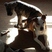 Eileen Flynn's photo