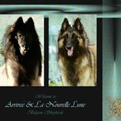 Lisa Bates LaFrance's photo