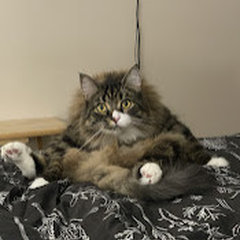 Abby