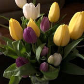 Denise Stoter-Hockaday's photo