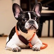 Martin Piñeiro's photo