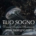 Tuo Sogno: Dream Surfaces Showroom's profile photo
