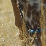Katie Kelly's photo