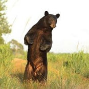 Todd Walker's photo