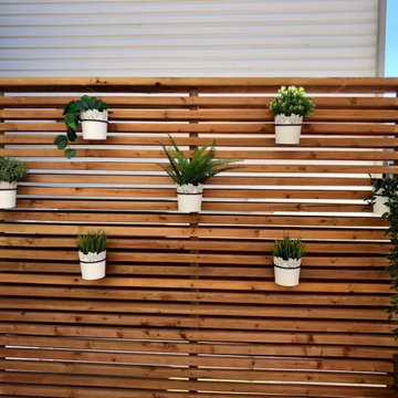 Pergola Inspiration