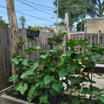 Sunken Patio & Black Locust Climbing Wall- Milwaukee, WI