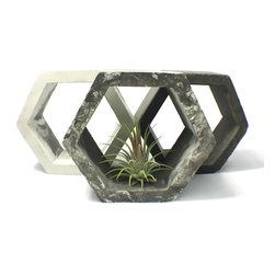 Concrete Air Plant Holder - Products