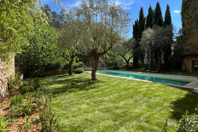 Aménagement d'un petit jardin méditerranéen l'été avec une exposition partiellement ombragée, un paillis et une clôture en bois.