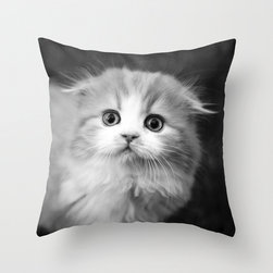 Schwag - Decorative Pillows