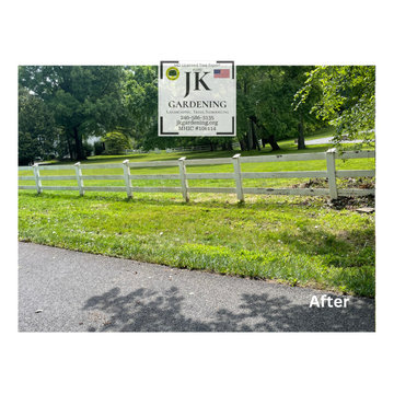 Tree Removals