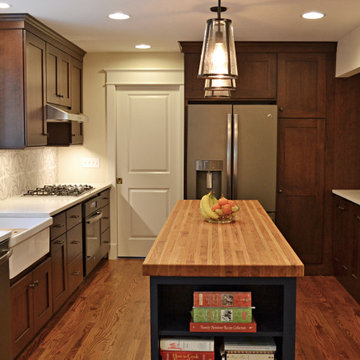 Modern Craftsman Kitchen Remodel