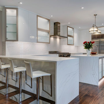 Contemporary Kitchen in Traditional Home