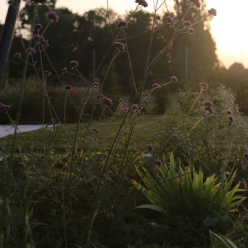 GIARDINO FIORITO DI FORME E COLORI