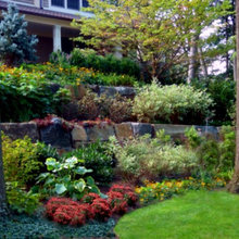 Backyard Inspirations