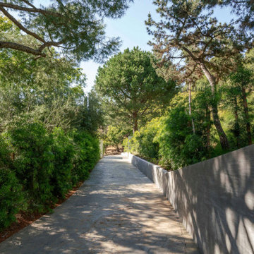 "The Treehouse HH" | 8070 Laurelmont / Oceanus