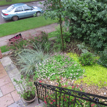 Backyard Jungle Paradise
