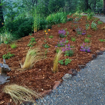 Sierra Springs Woodland Garden