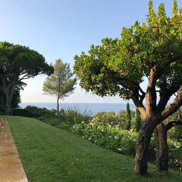 Sur les hauteurs de Saint-Tropez