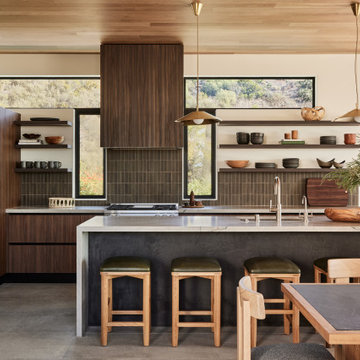 Organic Modern Remodel