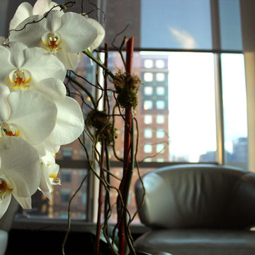One57 Apartment