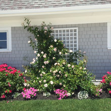 Cape Landscaping