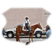 Nancy Robichaux's photo