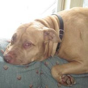 Connie Seanor's photo