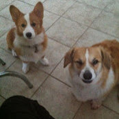 Foto von Sam and Trish Deckert