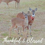 Jennifer Hoeft's photo