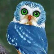 Michele Nyblade's photo