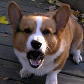 Carol Wendler's photo