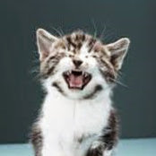 Krista McGee's photo