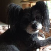 Jackie Wallis's photo