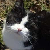 Kathy Crafton's photo