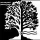 Chestnut Grove Design Studio