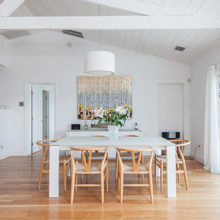 タンパの中サイズのコンテンポラリースタイルのLDKの画像 (白い壁、ベージュの床、淡色無垢フローリング、暖炉なし)