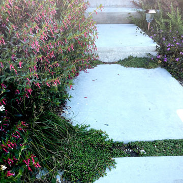 Bedford Avenue, Los Angeles