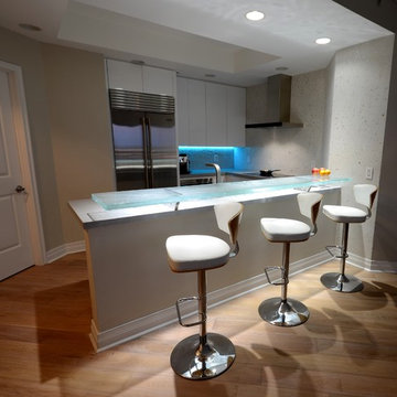 Contemporary Kitchen Remodel