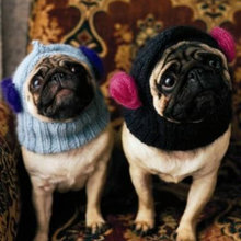 PUGS