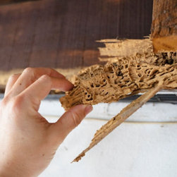 Pro Pest Control Cairns - Products