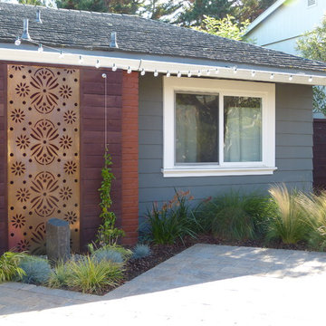 Contemporary Front Yard