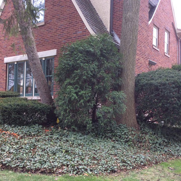 A "Loose Formal" Landscape