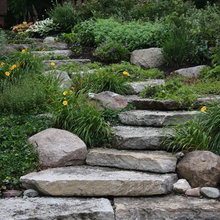Backyard Landscaping