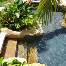 piscine naturelle