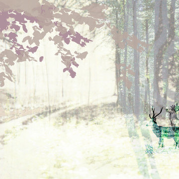 Tapeter/ Titel : Deer.