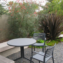 Landscape Ideas