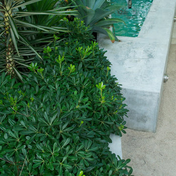 karrinyup courtyards