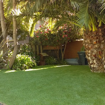 Tropical Front Yard Installation