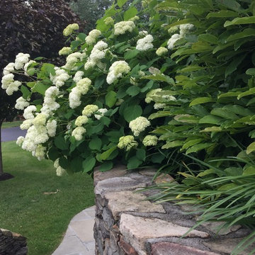 Mount Kisco Entry & landscape