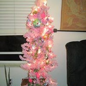 Valerie Lipscomb's photo